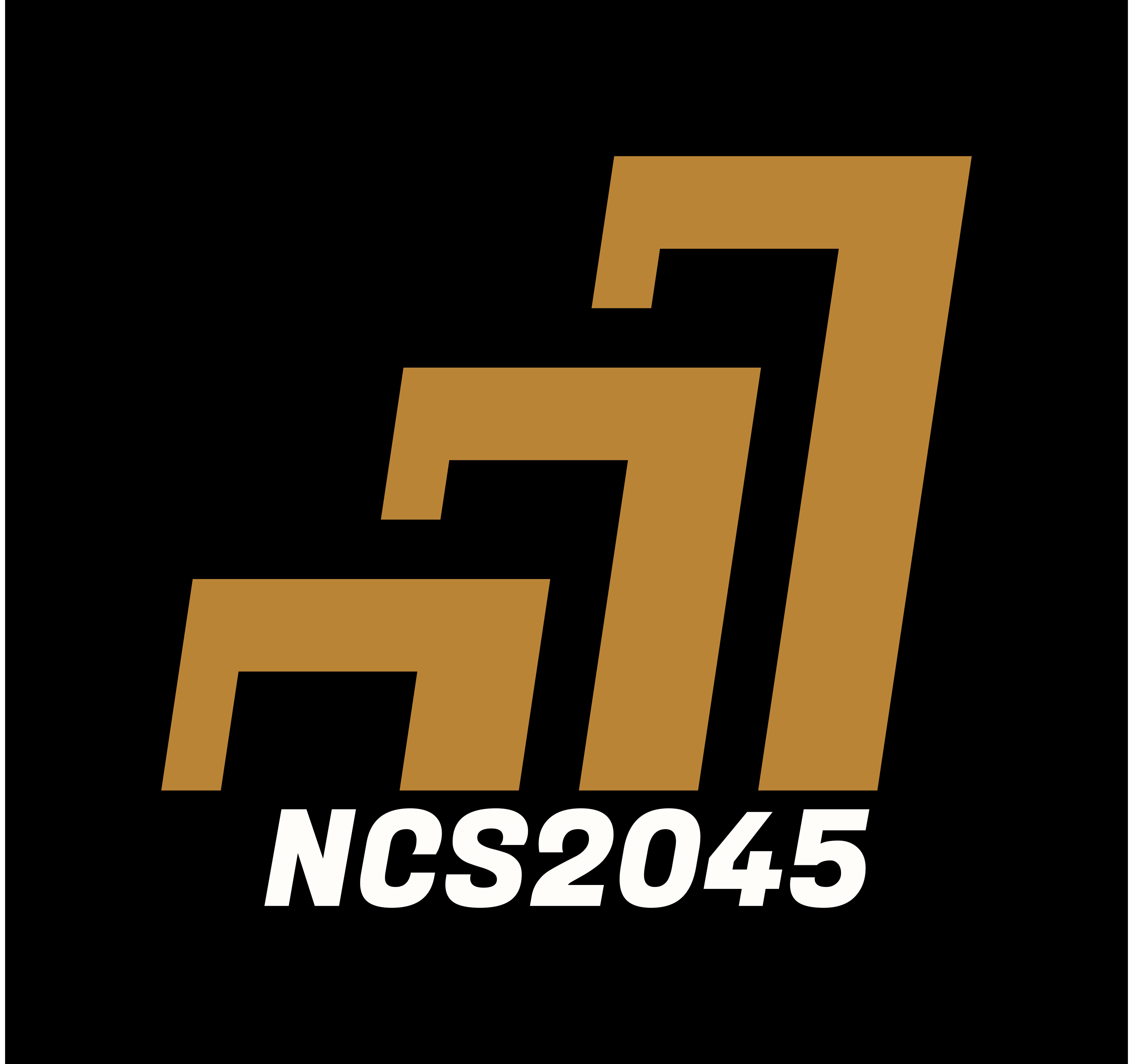 NCS2045 logo